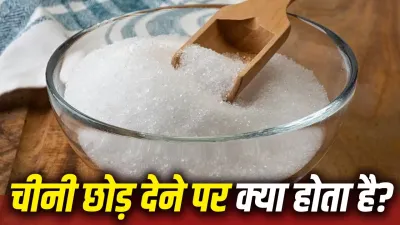 क्या चीनी छोड़ने से बदल सकती है आपकी सेहत? WHO ने बताया रोज कितनी शुगर है सुरक्षित