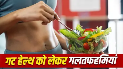 सिर्फ दही खाने से नहीं सुधरती Gut Health! एक्सपर्ट ने बताए सबसे बड़े मिथक और सच्चाई