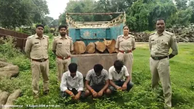 Forest Department Action: सूरजपुर में लकड़ी तस्करों पर शिकंजा, सागौन से लदी पिकअप जब्त; तीन आरोपी गिरफ्तार
