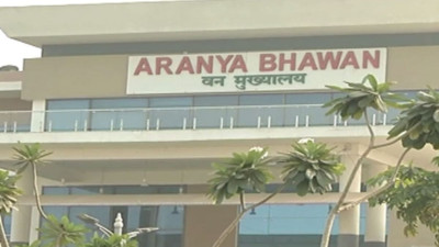 Transfer Breaking: 2024 बैच के प्रशिक्षु IFS अधिकारियों को मिली पहली फील्ड पोस्टिंग, वन विभाग ने जारी किए आदेश