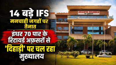 वन महकमे का अजब सिस्टम: 14 बड़े IFS मनचाही जगहों पर तैनात, इधर 70 पार के रिटायर्ड अफसरों से 'दिहाड़ी' पर चल रहा मुख्यालय