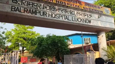 Lucknow Swine Flu Alert: लखनऊ में H1N1 से 50 वर्षीय महिला की मौत, स्वास्थ्य विभाग अलर्ट; अस्पतालों में तैयार हुए आइसोलेशन वार्ड