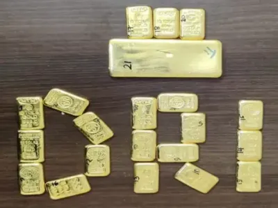 Gold Smuggling: बेल्ट से टिफिन तक… तस्करों ने बदले सोना छिपाने के तरीके, छत्तीसगढ़ में 50 करोड़ से ज्यादा के सिंडिकेट की जांच
