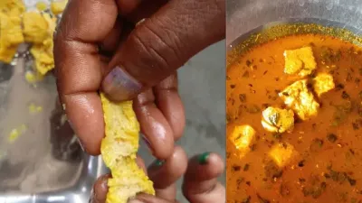 थाली में पहुंचने से पहले खुल गई पोल! 75 स्कूलों के मिड-डे मील में मिले कीड़े, खाना रुका तो भूखे रह गए बच्चे