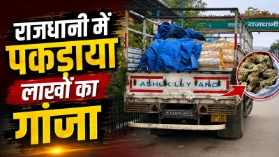 Raipur News: 191 किलो गांजा, ट्रक और दो तस्कर… रायपुर पुलिस ने तस्करी के बड़े नेटवर्क पर कसा शिकंजा
