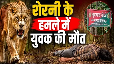 CG BREAKING: शेरनी के हमले में युवक की मौत, शावक के साथ इलाके में घूमने की सूचना से ग्रामीणों में  हड़कंप