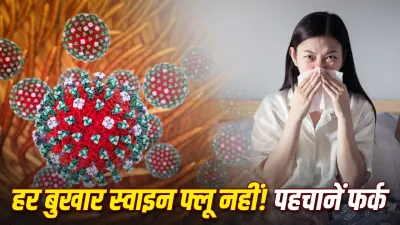 स्वाइन फ्लू है या सिर्फ वायरल फीवर? लक्षणों से कैसे करें पहचान, जानें कब जरूरी है टेस्ट