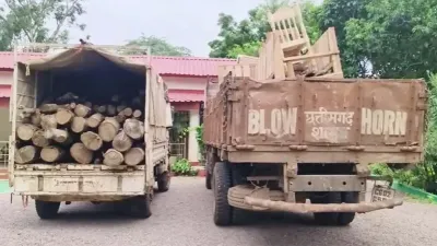 Balod News: सरपंच पति के ठिकाने पर वन विभाग की बड़ी रेड, सागौन-खम्हार की लकड़ी, फर्नीचर और मेटाडोर जब्त; जांच तेज