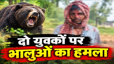 अचानक सामने आए 4 भालू और मच गई चीख-पुकार! एक युवक ने दौड़कर बचाई जान, दूसरा घायल
