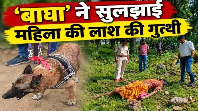एक गंध, 500 मीटर का पीछा और फिर खुला राज… ‘बाघा’ ने पुलिस को पहुंचाया आरोपी के घर