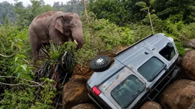 Surajpur Elephant Attack: सड़क पर आया ‘कबरा-काना’, कार को कई बार पलटा; तमोर पिंगला में हाथी की दहशत से ग्रामीण परेशान