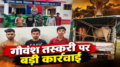 CG News: धमतरी में मवेशियों के अवैध परिवहन का पर्दाफाश, पुलिस की घेराबंदी में पकड़ी गई पिकअप; चार मवेशियों के साथ तीन आरोपी दबोचे गए