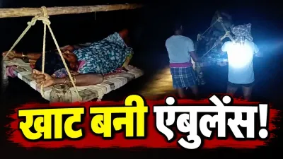 नदी के बीच जिंदगी की जंग! खाट पर गर्भवती को लेकर निकले ग्रामीण, अस्पताल में गूंजी किलकारी