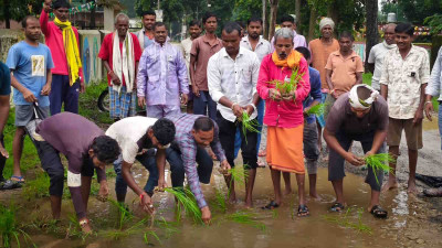 68 लाख की सड़क बनी ‘धान का खेत’! गड्ढों में धान-बेशरम रोपकर ग्रामीणों का अनोखा प्रदर्शन, बोले- पहले साल ही उखड़ गई सड़क