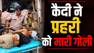 फल की टोकरी लेकर जेल गेट पहुंचा कैदी, अचानक निकाला कट्टा और कर दी फायरिंग; प्रहरी की हालत गंभीर