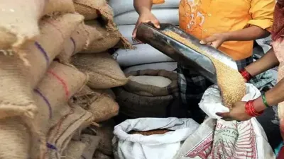 PDS Baradana Scam: सरकारी बारदानों का खेल! दुकानों से गायब हुए 5 लाख बोरे, नई खरीदी पर खजाने से फिर करोड़ों खर्च