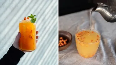 Sea Buckthorn Nutrition: पोषक तत्वों का पावरहाउस है सी बकथॉर्न, जानें इसमें कितने विटामिन-मिनरल और कैसे करें सेवन