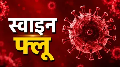 Chhattisgarh Swine Flu: प्रदेश में तेजी से बढ़ रहा H1N1 का दायरा, 7 नए केस से आंकड़ा 170 के करीब; रायपुर में 14 एक्टिव मरीज