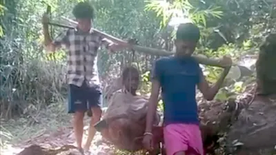 Aamcho Bastar: न सड़क, न एंबुलेंस! बीमार महिला को कांवड़ में अस्पताल ले जाने को मजबूर ग्रामीण, विकास के दावों पर सवाल