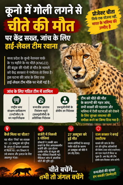 कूनो नेशनल पार्क में चीते की मौत से मचा हड़कंप, केंद्र ने शुरू कराई उच्चस्तरीय जांच