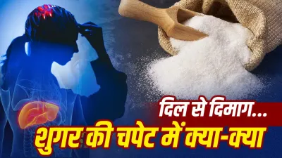 Health Tips: ज्यादा मीठा खाने से शरीर के इन अंगों पर पड़ सकता है असर, जानें किन बीमारियों का बढ़ता है खतरा