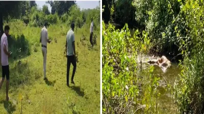 प्लॉट के अंदर सड़ी-गली लाश मिलने से मचा हड़कंप! महिला की नजर पड़ी तो खुला राज, मौके पर पहुंची पुलिस