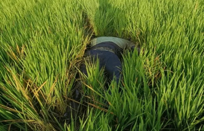 खेत में टूटा था बिजली का तार, करंट की चपेट में आया कोटवार; 5 दिन तक खेत में पड़ा रहा शव