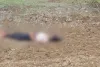 रायपुर के खरोरा में 10वीं की छात्रा की मिली लाश, खेत में खून से लथपथ मिला शव, चाकू से वार के कई निशान, कल से थी लापता, विवेचना में जुटी पुलिस  