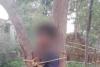 बाल श्रम निषेध दिवस पर शर्मनाक घटना: जशपुर में नाबालिग को पेड़ से बांधकर बेरहमी से पीटा गया...