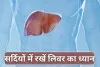 Best Foods for Healthy Liver: लिवर हेल्थ के लिए सर्दियों में क्या खाएं, डॉक्टर से जान लीजिए