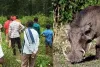 CG NEWS:  रायगढ़ में जंगली सुअर के शिकार के लिए लगे अवैध करंट तार से दो ग्रामीणों की मौत, 5 गिरफ्तार 