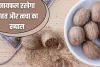 Nutmeg Remedies: जायफल के 5 नुस्खे, जुकाम-खांसी, दर्द से मिलेगी राहत, चेहरे की डलनेस होगी दूर