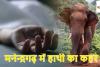 CG News: मनेन्द्रगढ़ में हाथी का कहर, महुआ बीनने गए ग्रामीण की मौत, वन विभाग की कार्यप्रणाली पर उठे सवाल