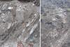 Himachal Landslide: चंबा में भूस्खलन का कहर, पलक झपकते ढहा करोड़ों का पुल, रावी नदी में समाया पूरा ढांचा, देखे वीडियो 