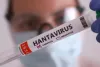 Hanta Virus Alert: इन लोगों को ज्यादा रहता है हंता वायरस का खतरा, एक्सपर्ट ने बताए बचाव के जरूरी तरीके