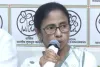 Bengal Election Fallout: ‘हम हारे नहीं, हराए गए’, ममता बनर्जी का बड़ा आरोप, इस्तीफे से साफ इनकार
