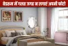 Vastu Tips for Couple Photos: बेडरूम और घर में कपल को कहां-कहां नहीं लगानी चाहिए अपनी तस्वीर, बिगड़ सकते हैं रिश्ते