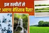 Vastu Tips For Wealth: 7 घोड़ों के अलावा ये तस्वीरें भी हैं मनी मैग्नेट, घर में लगाते ही खिंचा चला आएगा पैसा!