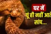 Vastu Tips: पितृ दोष या कालसर्प दोष? घर में सांप का आना देता है ये गंभीर संकेत!