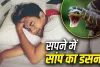 Swapna Shastra: सपने में सांप का डसना देता है ये बड़ा संकेत, जानें शुभ है या अशुभ