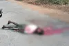 कवर्धा में रफ्तार बनी काल! तेज रफ्तार हाइवा ने बाइक सवार को रौंदा, मौके पर हुई दर्दनाक मौत