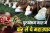 Purushottam Maas 2026: 15 जून से पहले कर लें ये 6 चमत्कारी उपाय, भगवान विष्णु की कृपा से खुल सकते हैं किस्मत के बंद दरवाजे