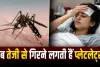 डेंगू में प्लेटलेट्स कब घटने लगती हैं? जानिए कब बढ़ता है खतरा और किन लक्षणों को न करें नजरअंदाज