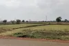 100 का प्रावधान, 345 आबादी पट्टे बांटने का दावा! आरंग की दरबा पंचायत में उठे सवाल, कलेक्टर से जांच की मांग