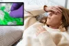 Dengue Symptoms: क्या बिना बुखार के भी हो सकता है डेंगू? जानिए ऐसे लक्षण जिन्हें नजरअंदाज करना पड़ सकता है भारी