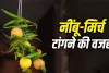 Lemon and Chillies: घर, दुकान और गाड़ी पर क्यों टांगते हैं नींबू-मिर्च? बुरी नजर या सिर्फ परंपरा, जानिए पूरा सच
