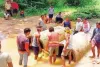 जब सिस्टम नहीं बना सका रास्ता, ग्रामीणों ने खुद संभाली कमान! चंदा जुटाया, श्रमदान किया और बना डाला आवागमन का रास्ता