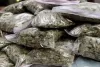 Raipur Crime News: पुलिस की सख्ती से बदला गांजा तस्करी का तरीका, अब घर तक डिलीवरी और कोड वर्ड का खेल!