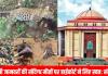 छत्तीसगढ़ हाईकोर्ट ने जंगली जानवरों की संदिग्ध मौतों पर जताई गंभीरता, PCCF से मांगा हलफनामा 