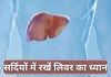 Best Foods for Healthy Liver: लिवर हेल्थ के लिए सर्दियों में क्या खाएं, डॉक्टर से जान लीजिए